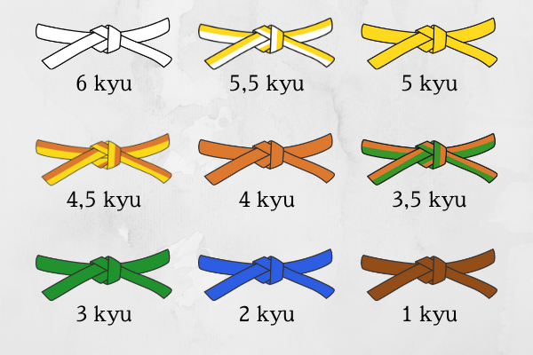 6 kyu